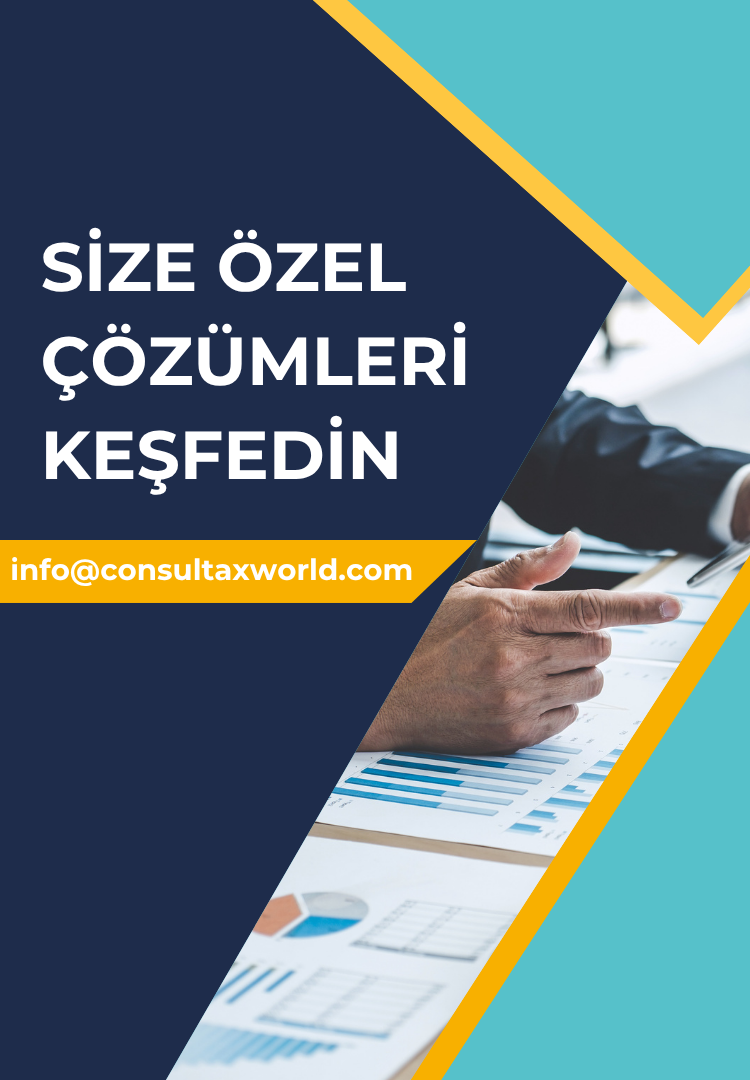 Gümrük Danışmanlığı